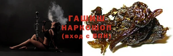 хмурый Пересвет