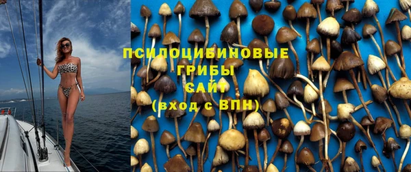 хмурый Пересвет