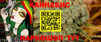 МДПВ Славгород